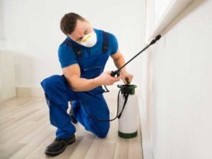 Pest Control Maintenance residential
